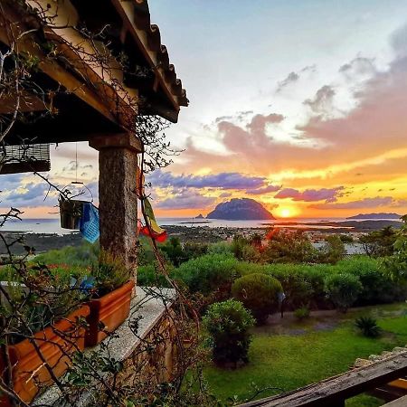 Villa Acchiappasogni Loiri Porto San Paolo Exterior foto